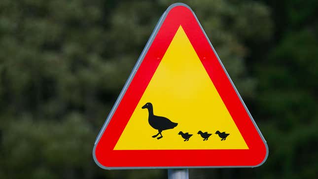 A photo of a road sign with a family of ducks on it. 