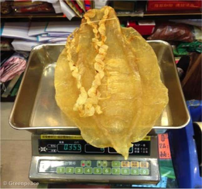 A bladder weighing 359 grams costs HK$240,000 (about US$31,000).
