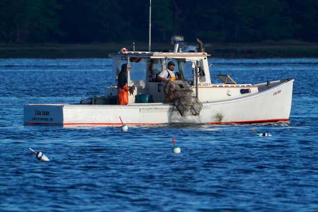 FILE - A lobster fisherman hauls a trap, Sept. 8, 2022, off of Kennebunkport, Maine. A California court has dismissed a lawsuit from a group of fishermen against a conservation group that added New England lobster to its list of seafood to avoid. The lawsuit stemmed from a decision by Seafood Watch, which rates the sustainability of different seafoods, to add American and Canadian lobster fisheries to its “red list” of species to avoid in 2022. The organization, based at Monterey Bay Aquarium in California, said it based its decision on the risk lobster fishing poses to the North Atlantic right whale because of entanglement in fishing gear. (AP Photo/Robert F. Bukaty, file)