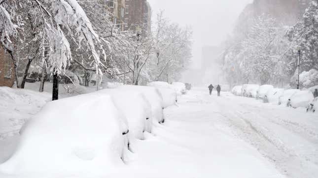 Cars covered in snow