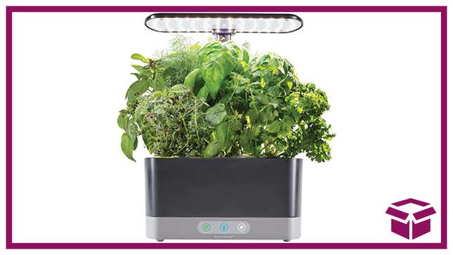 Refresh your supply of fresh herbs year-round with the AeroGarden Harvest Indoor Garden system.