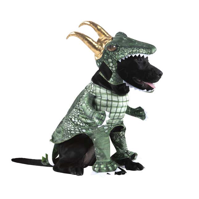 alligator loki dog costume