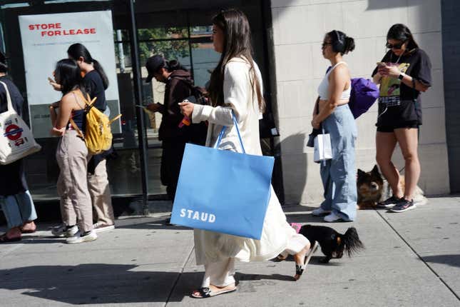 Shoppers lining up outside a store