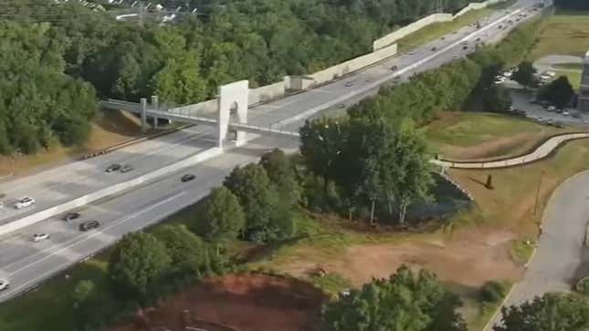 Image for article titled Internet Artist Labels South Carolina Bridge &quot;Harambe Memorial&quot;