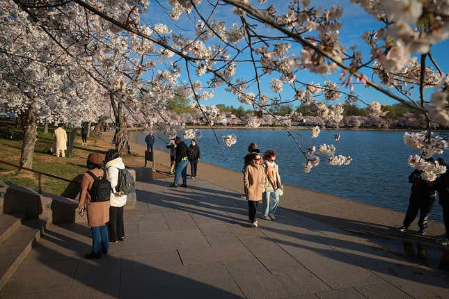 Image for article titled The 5 best states in America for working moms — and the 5 worst