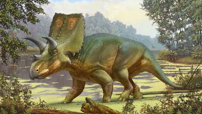 Depiction of the newly identified dinosaur, Sierraceratops turneri.