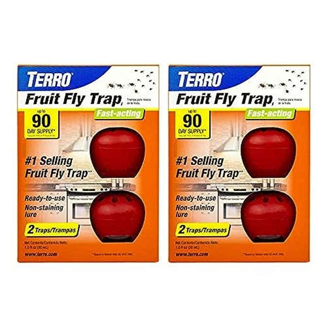 TERRO T2503SR Ready-to-Use Indoor Fruit Fly Killer and Trap with Built in  Window, Now 20% Off