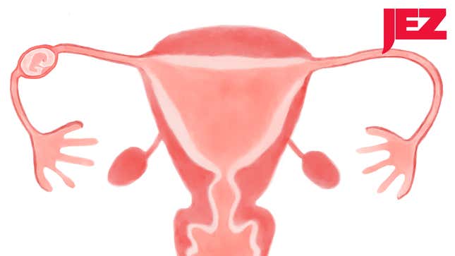 Conservatives Have Launched an Ectopic Pregnancy Misinformation Campaign