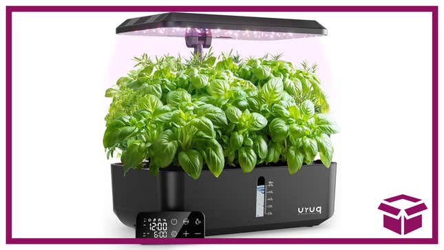 Image for article titled Experience Amazing Indoor Gardening with URUQ Hydroponics System, 58% Off for Amazon Prime Day