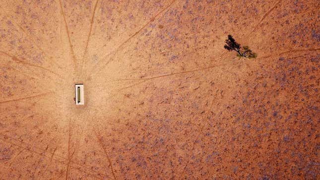 A lone tree stands near a water trough in a drought-effected paddock on the outskirts of town of Walgett, in New South Wales on July 20, 2018.