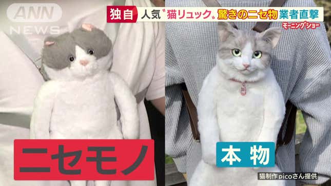 Image for article titled Beware Of Fake Cat-Shaped Backpacks