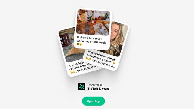 A screenshot of the TikTok Notes splash page.