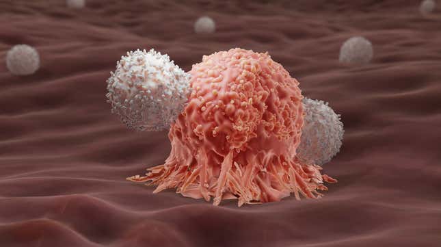 An illustration of chimeric antigen receptor (CAR)-T cells attacking a cancer cell.