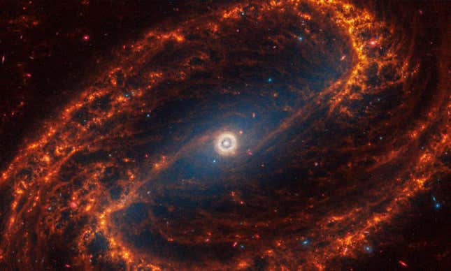 Image for article titled See Webb Telescope's 'Mind-Blowing' Collection of Spiral Galaxy Images