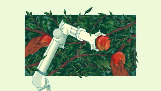 Image for article titled More American farms are turning to automation as labor shortages get worse