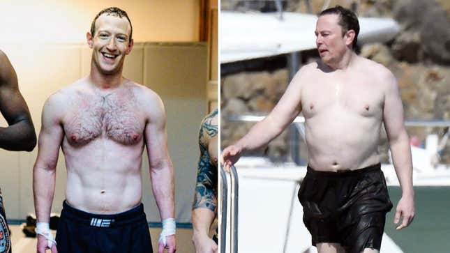 Image for article titled Elon Musk Details Suspicious Injury After Zuckerberg Suggests He’s Too Much of a Coward to Fight