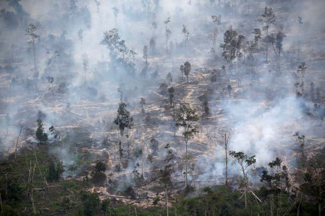 Image for article titled The Race to Zero Emissions: dueling disasters, dwindling distributions, and dropping demand