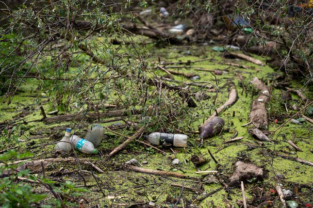 FILE - Muddy plastic bottles have flowed downstream and become lodged against fallen trees and within the dense foliage in Tisza River near Tiszaroff, Hungary, Aug. 1, 2023. (AP Photo/Denes Erdos, File)