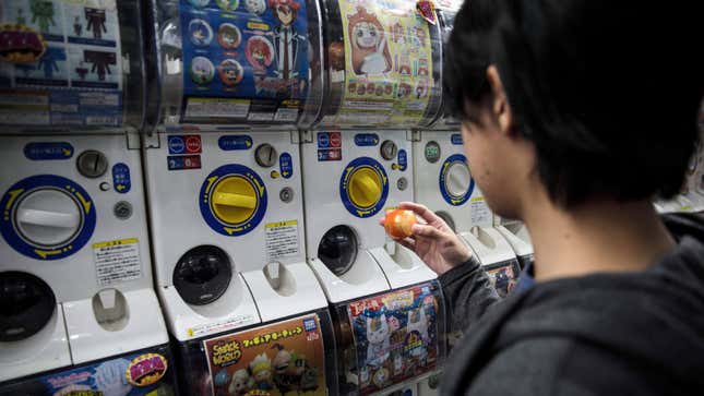 A schoolboy hunts for capsule toys in Akihabara. 