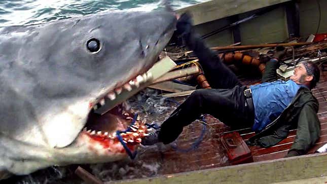 Image for article titled Experts Blame ‘Jaws’ For Transforming Public Perception Of Great White Sharks From Lovable Household Pet To Bloodthirsty Killer