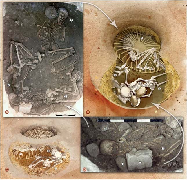 Clockwise from top-left: a view of three skeletons on the site, a reconstruction of the remains, a view of the bottom individual with a stone on top of the remains, a grindstone fragment covering the head of the rightmost individual.