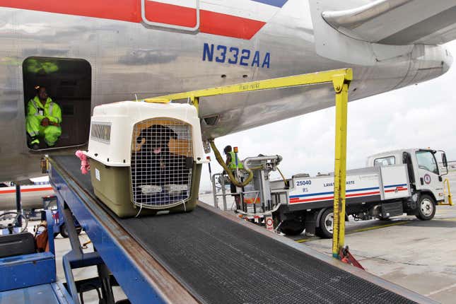 FILE - An American Airlines grounds crew unloads a dog from the cargo area of an arriving flight, Aug. 1, 2012, at John F. Kennedy International Airport in New York. American Airlines is relaxing part of its pet policy to let owners bring their companion and a full-size carry-on bag into the cabin. (AP Photo/Mary Altaffer, File)