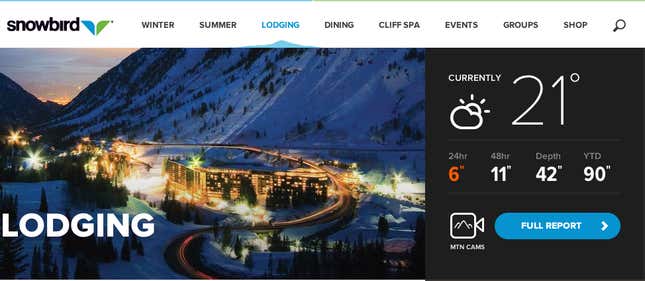Snowbird