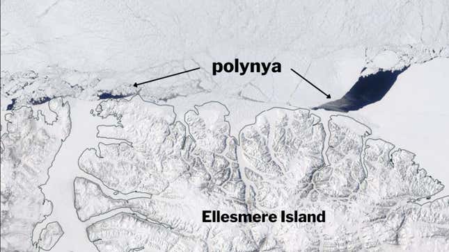 The large gap seen to the north of Ellesmere Island in May 2020. 