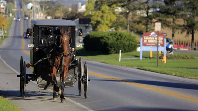 Image for article titled Alleged Horse-And-Buggy Thief In Way More Trouble Than If She Had Just Stolen A Car