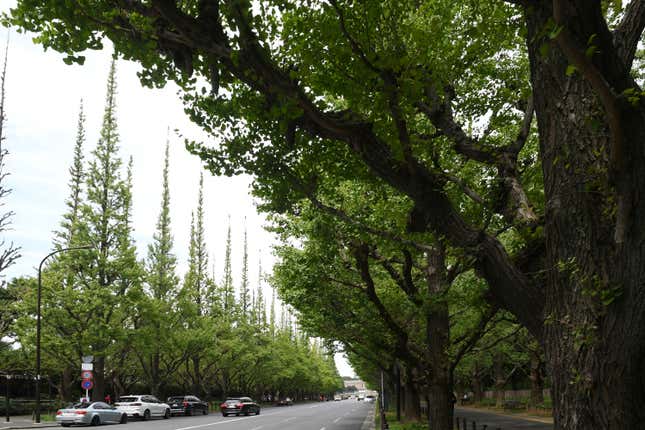 FILE - The Jingu Gaien park area is seen in central Tokyo, Sunday, Aug. 27, 2023. Tokyo&#39;s Jingu Gaien park area has been placed on a “Heritage Alert” list by a conservancy that assesses international monuments and historic sites. The body says the planned redevelopment will lead to “irreversible destruction of cultural heritage&quot; with thousands of trees being felled. (AP Photo/Norihiro Haruta, File)