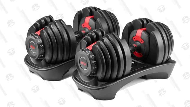 Bowflex SelectTech Adjustable Dumbbells | $330 | Best Buy