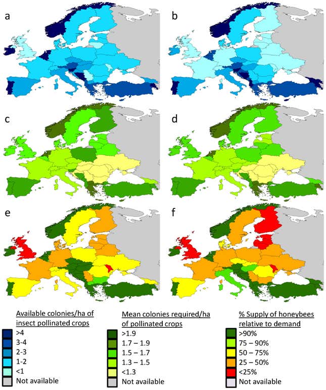 Image for article titled Something else for Europe to worry about: the disastrous consequences of a huge bee deficit