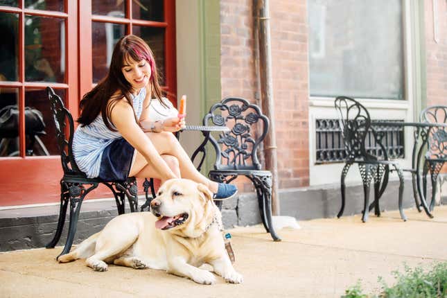 Image for article titled The 10 most pet friendly cities in America