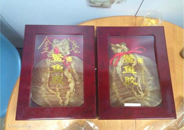 A pair of totoaba bladders packed in a wooden gift box with “Money Fish Maw” on the cover.