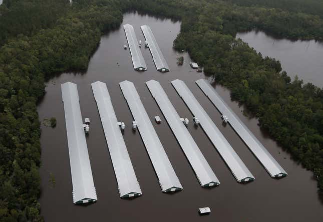 Image for article titled Photos: Florence’s destructive flooding, seen from the air