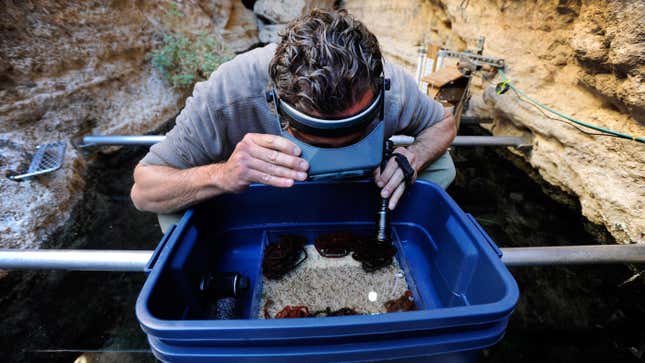 Un acuicultor examina una muestra de agua en busca de huevos de pescado.