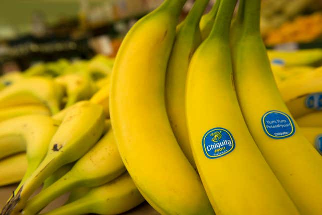 Les bananes Chiquita Brands International Inc. sont arrangées chez Union Street Produce Co. à San Francisco, Californie. 