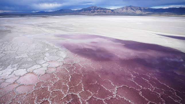 Pink water washes over a salt crust on May 4, 2021, along the receding edge of the Great Salt Lake.