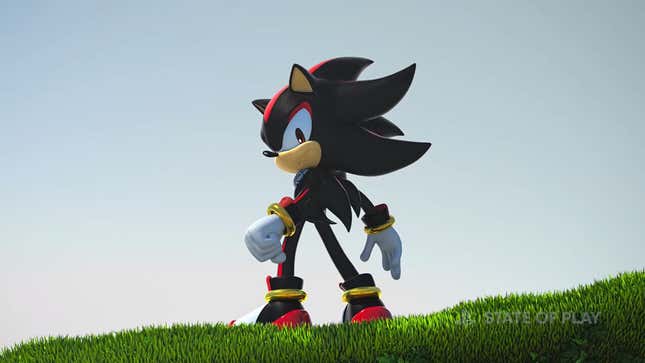 Shadow stands on a patch of grass.