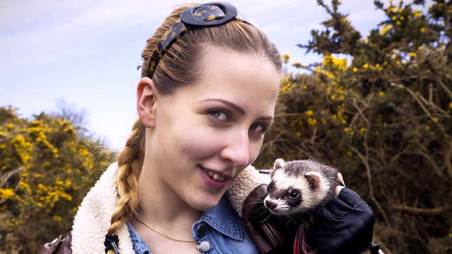 Ferret: Bristling With Fame, Loves Anchovies, Participates