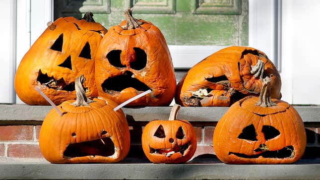 A photo of melting pumpkins. 