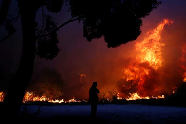A man looks at the flames of a wildfire in Rafina.