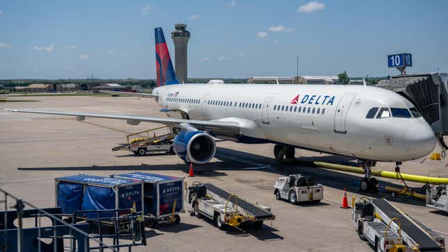 Image for article titled Apparently, Planes Can&#39;t Take Off if There&#39;s a Swarm of Bees on the Wing