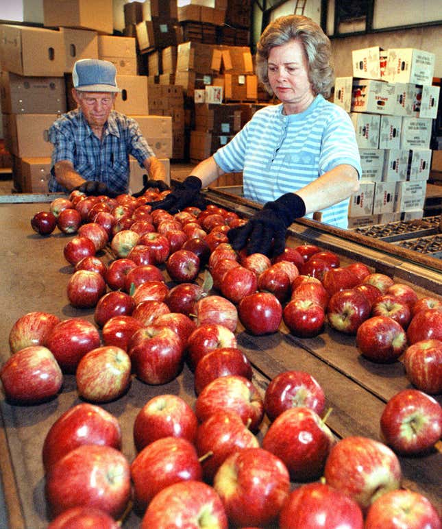 Hate Red Delicious apples all you want, they're still here