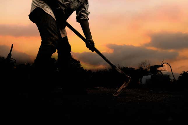 Image for article titled Debt Relief for Black Farmers at Risk After Federal Judge Files Injunction