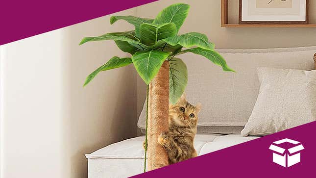 Image for article titled Treat Your Cat to This Palm Tree Scratching Post for $30