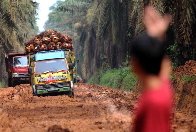 The global demand for palm oil is driving the fires in Indonesia