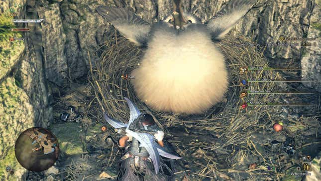 A hunter receives four different items after gathering a Nest Trinket in front of the Gigacrake.
