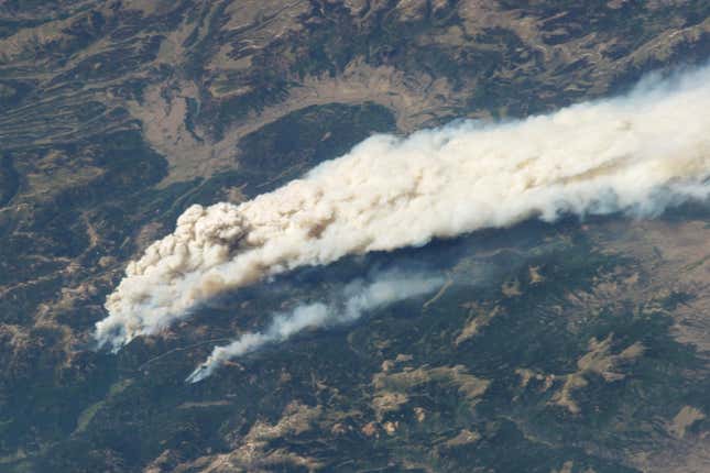 Image for article titled The destructive power of wildfires, seen from space