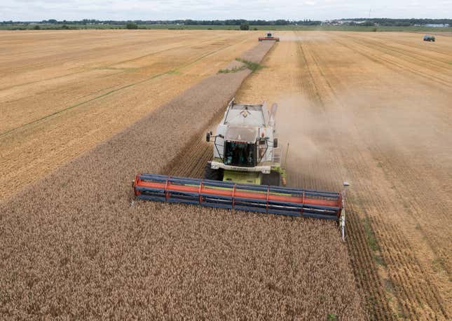 FILE - Harvesters collect wheat in the village of Zghurivka, Ukraine, on Aug. 9, 2022. Poland&#39;s Prime Minister Mateusz Morawiecki says his government will not lift its embargo on Ukraine grain imports on Thursday because it would hurt the interests of Polish farmers. In accordance with the European Union, the embargo was imposed in April, until Sept. 15 to prevent Ukraine produce from glutting Polish market. (AP Photo/Efrem Lukatsky, File)